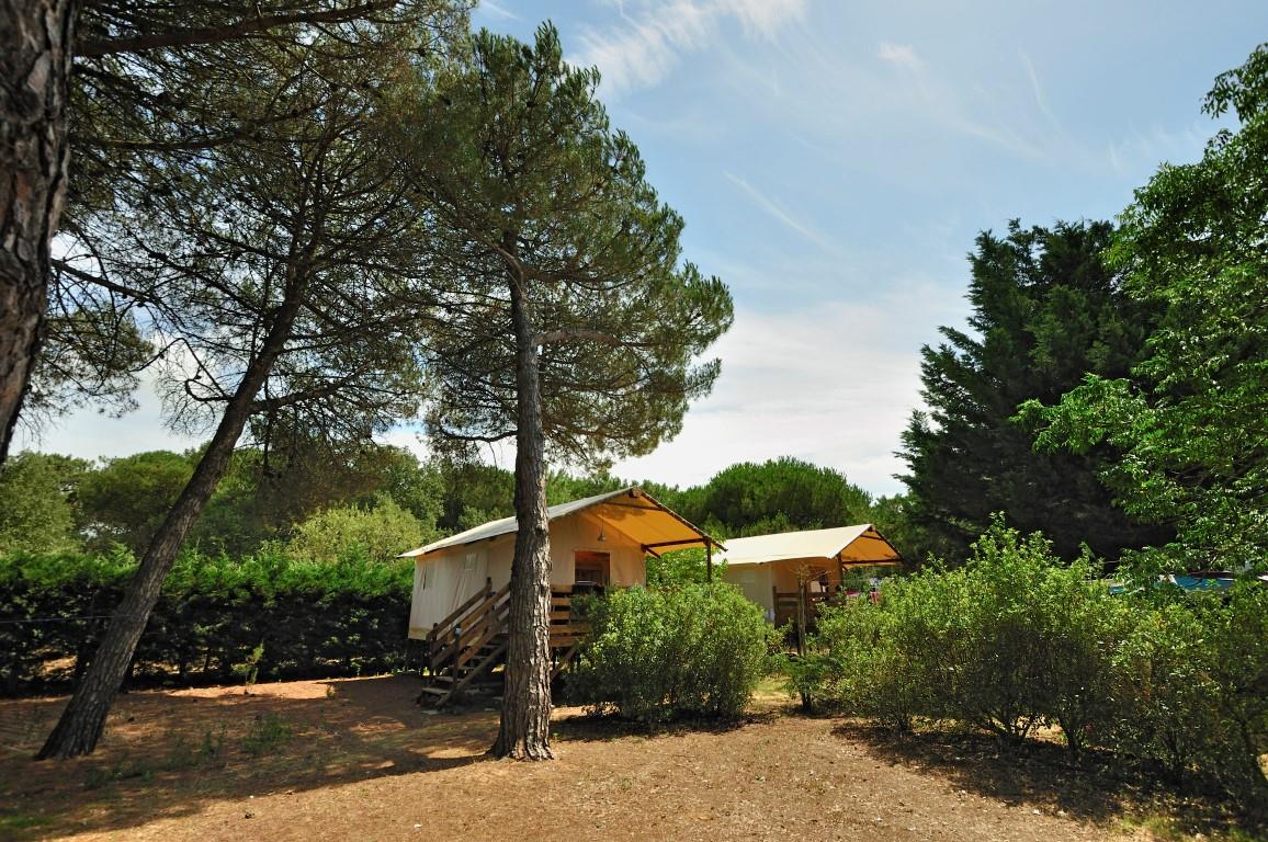 Canvas lodge on pile Standard 34m² – 2 bedrooms – terrace 10m²